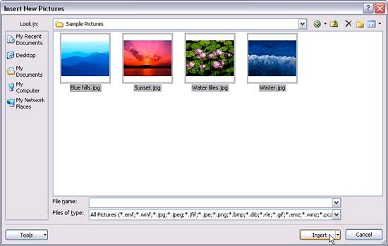 Photo Album dialog box Photo Album dialog box
