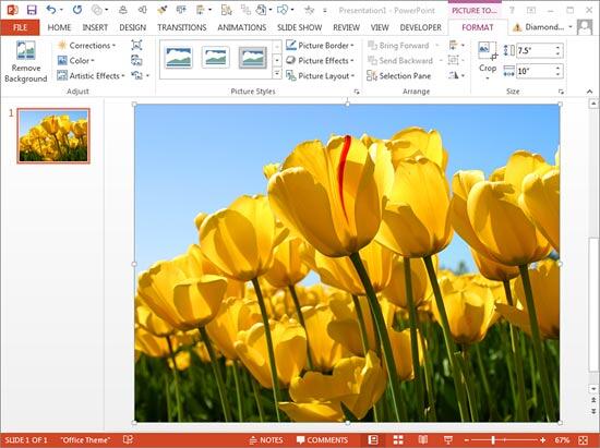 Picture inserted and selected Picture inserted and selected