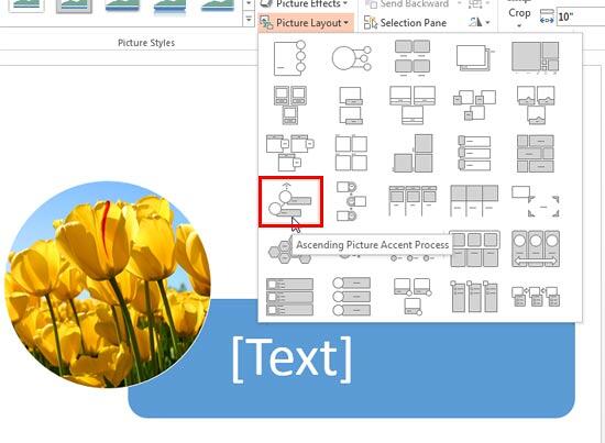 Picture Layout being selected Picture Layout being selected