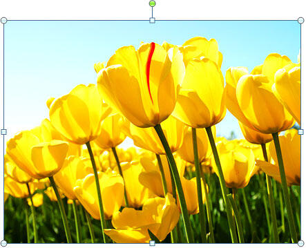 Picture with changed brightness and contrast values Picture with changed brightness and contrast values