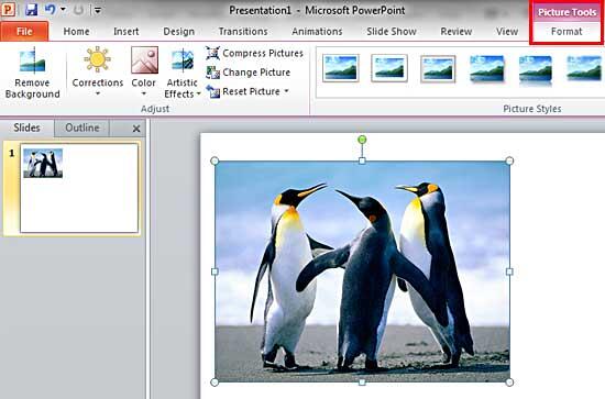 Picture Tools Format tab of the Ribbon