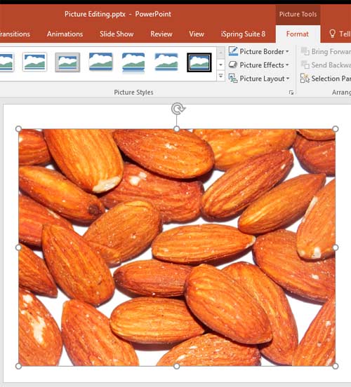 Picture inserted and selected Picture inserted and selected