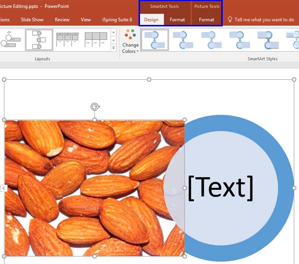 Picture converted into a SmartArt Picture converted into a SmartArt