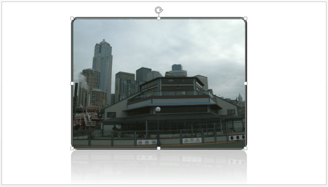 Picture Style applied to the picture Picture Style applied to the picture