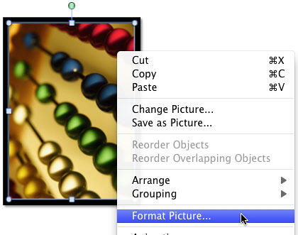 Format Picture option to be selected Format Picture option to be selected