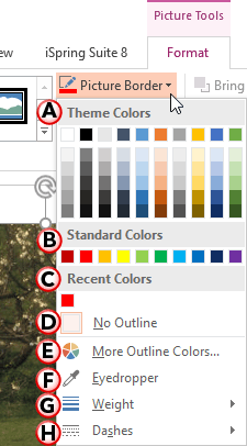 Picture Border drop-down gallery Picture Border drop-down gallery