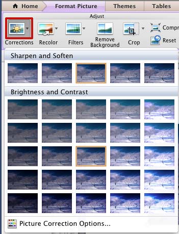 Corrections drop-down gallery Corrections drop-down gallery