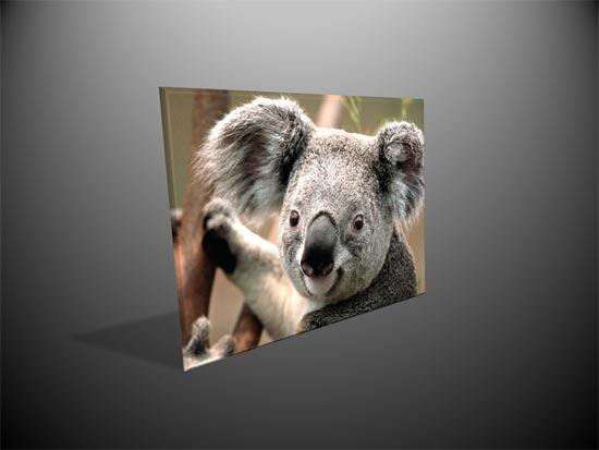 Multiple Effects applied to one picture Multiple Effects applied to one picture