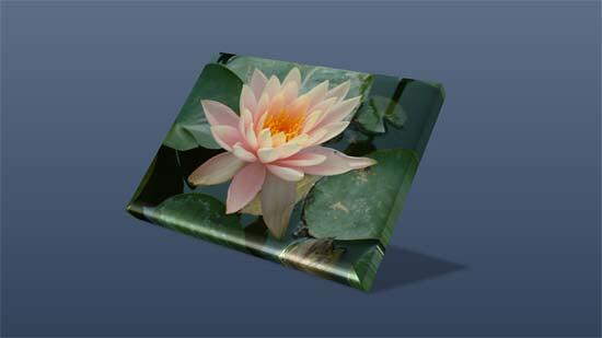 Multiple Effects applied to one picture Multiple Effects applied to one picture