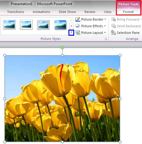 Picture Styles group within the Picture Tools Format tab Picture Styles group within the Picture Tools Format tab