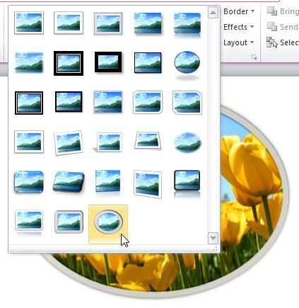 Picture Styles drop-down gallery Picture Styles drop-down gallery