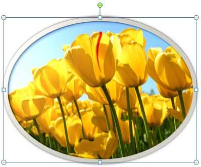 Picture Style applied to the picture Picture Style applied to the picture