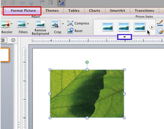 Picture Styles group within the Format Picture tab Picture Styles group within the Format Picture tab