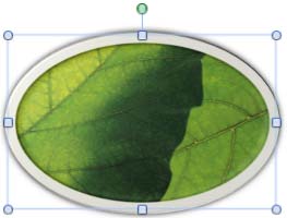 Picture Style applied to the picture Picture Style applied to the picture