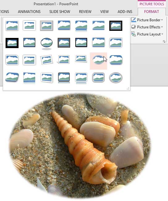Picture Styles drop-down gallery Picture Styles drop-down gallery