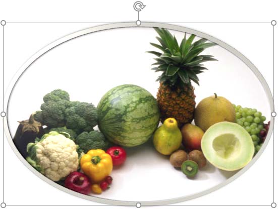 Picture Style applied to the picture