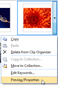 Preview/Properties option