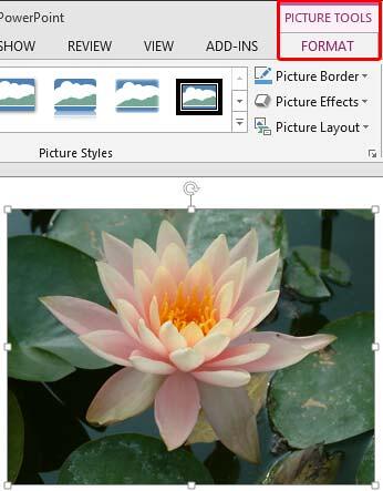 Picture inserted and selected Picture inserted and selected