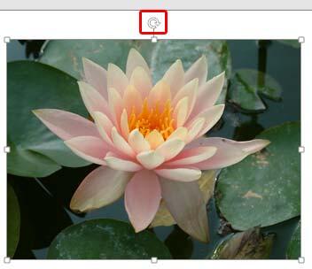 White rotation handle White rotation handle
