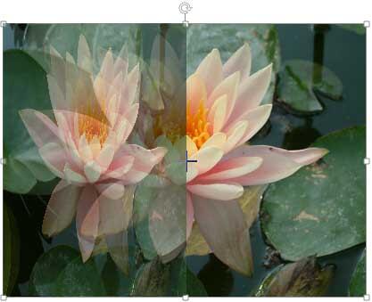 Drag the side handle towards the other end of the picture Drag the side handle towards the other end of the picture