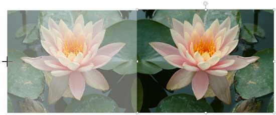 Drag beyond to the other side to flip a picture Drag beyond to the other side to flip a picture