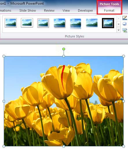 Picture inserted and selected Picture inserted and selected