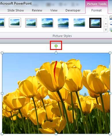 Green rotation handle Green rotation handle
