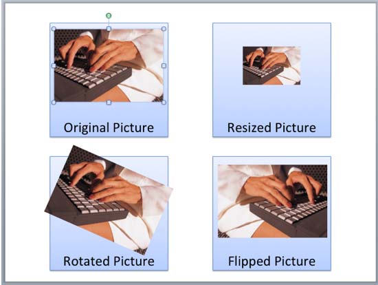 Variants of the same picture applied with resize, rotate, and flip options Variants of the same picture applied with resize, rotate, and flip options