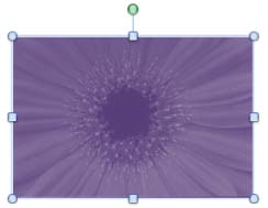 Selected picture recolored