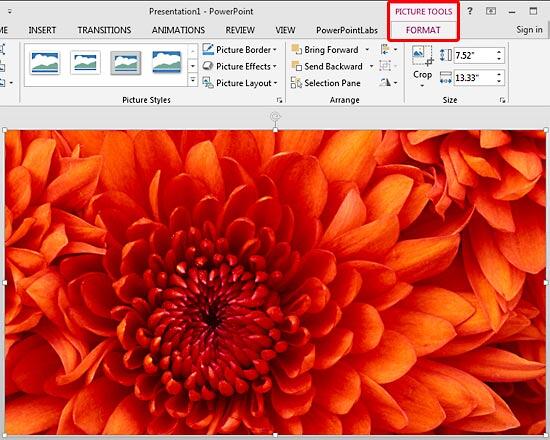 Picture Tools Format tab contextual tab Picture Tools Format tab contextual tab
