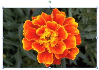 Picture with fairly distinct background and foreground areas Picture with fairly distinct background and foreground areas