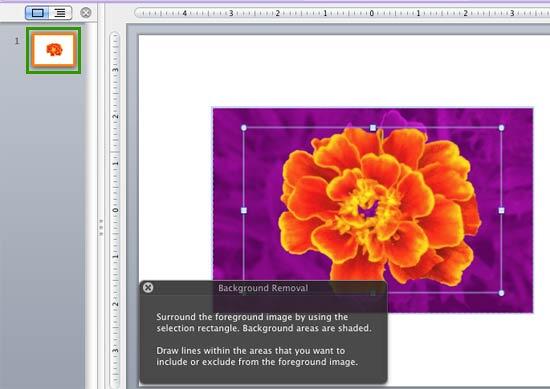 Background area selected by default for removal Background area selected by default for removal