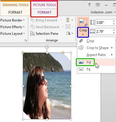 Fill option within the Crop drop-down gallery Fill option within the Crop drop-down gallery