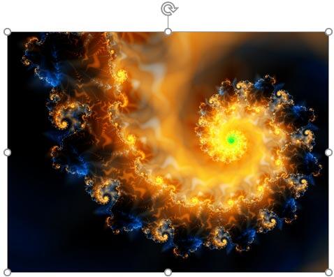 Reset Picture & Size option applied to picture