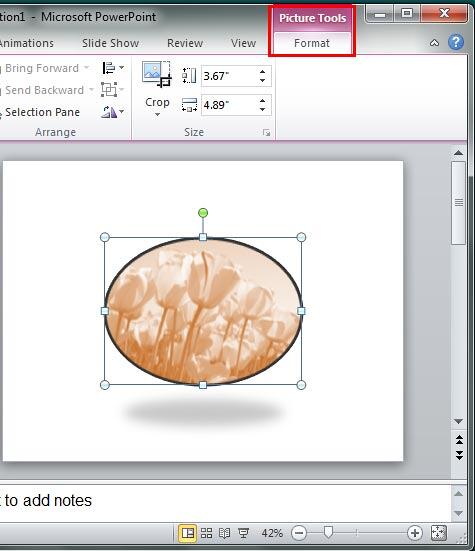 Customized picture selected Customized picture selected
