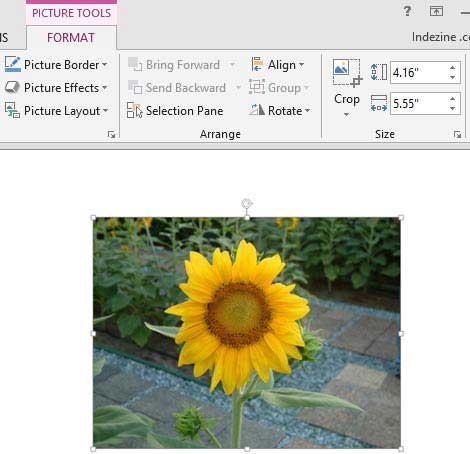 Reset Picture option applied to picture