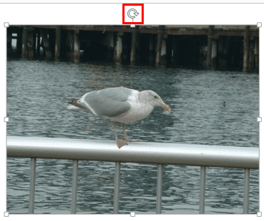 White rotation handle