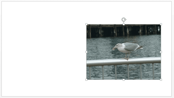 Drag the side handle towards the other end of the picture