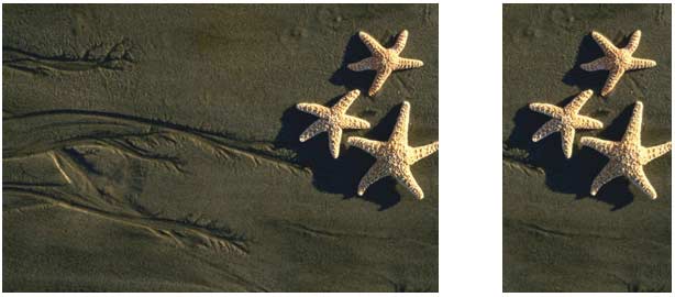 Picture cropped to focus attention on a particular element Picture cropped to focus attention on a particular element