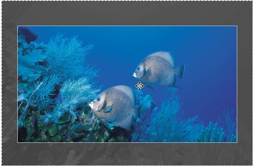 Picture being repositioned within the content placeholder Picture being repositioned within the content placeholder