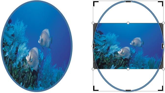 Shape with picture fill and same shape with Fit crop option applied Shape with picture fill and same shape with Fit crop option applied