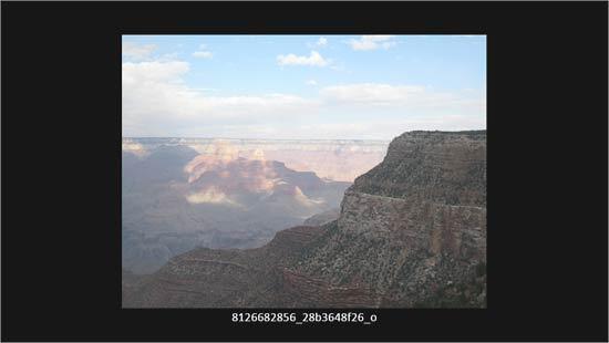 Caption added beneath the picture