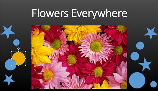 Color applied to shape from Eyedropper