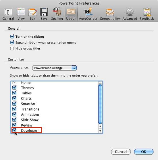 Developer checkbox selected