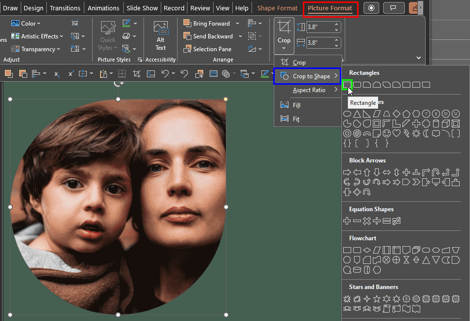 Choose the Crop to Shape option Choose the Crop to Shape option