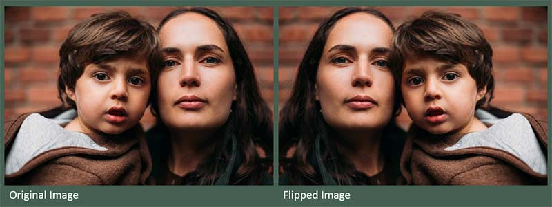 Picture flipping is easy and quick in PowerPoint Picture flipping is easy and quick in PowerPoint