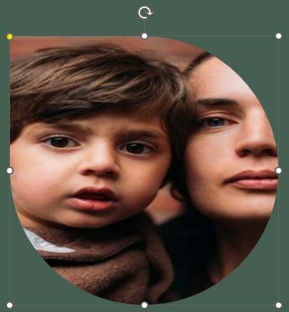 Shape filled with flipped picture in PowerPoint 365 for Windows Shape filled with flipped picture in PowerPoint 365 for Windows