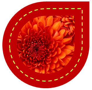 Teardrop shapes re-ordered