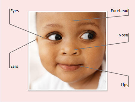 Parts of a human face indicated using Diagonal Callouts