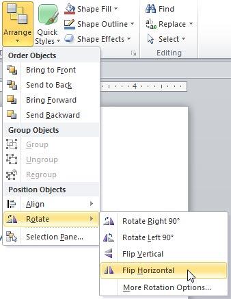 Flip Horizontal option selected